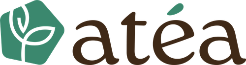 Atea Group S.r.l. Società Benefit